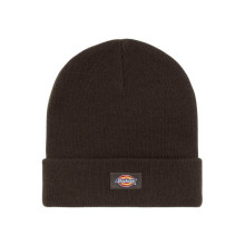 Dickies - Gibsland Beanie